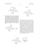 MICROPARTICLE ASSEMBLY diagram and image