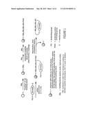 Macrocyclic Modulators of the Ghrelin Receptor diagram and image