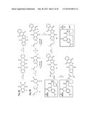 SERINIQUINONES, MELANOMA-SPECIFIC ANTICANCER AGENTS diagram and image