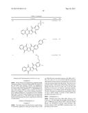 SERINIQUINONES, MELANOMA-SPECIFIC ANTICANCER AGENTS diagram and image