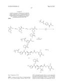 Monobactams diagram and image