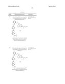 NOVEL 5-AMINOTETRAHYDROQUINOLINE-2-CARBOXYLIC ACIDS AND THEIR USE diagram and image