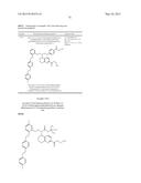 NOVEL 5-AMINOTETRAHYDROQUINOLINE-2-CARBOXYLIC ACIDS AND THEIR USE diagram and image