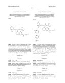 NOVEL 5-AMINOTETRAHYDROQUINOLINE-2-CARBOXYLIC ACIDS AND THEIR USE diagram and image