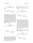 NOVEL 5-AMINOTETRAHYDROQUINOLINE-2-CARBOXYLIC ACIDS AND THEIR USE diagram and image