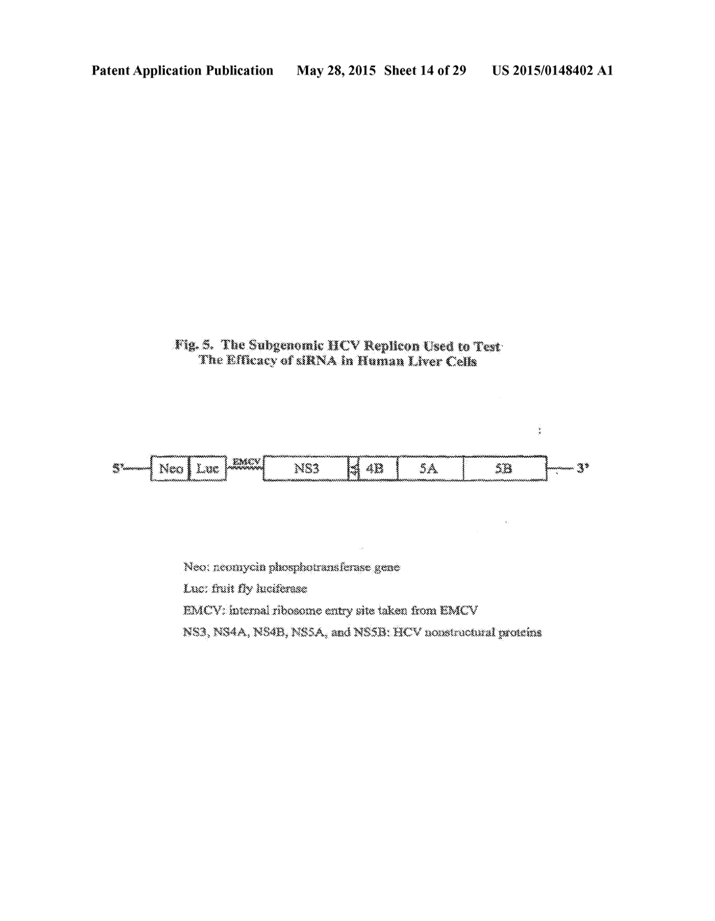 MODIFIED SMALL INTERFERING RNA MOLECULES AND METHODS OF USE - diagram, schematic, and image 15