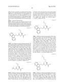 AMINO ACID ANALOGUES AND METHODS FOR THEIR SYNTHESIS diagram and image