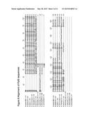 METHODS OF INCORPORATING AN AMINO ACID COMPRISING A BCN GROUP INTO A     POLYPEPTIDE USING AN ORTHOGONAL CODON ENCODING IT AND AN ORTHORGONAL     PYLRS SYNTHASE diagram and image