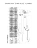 METHODS OF INCORPORATING AN AMINO ACID COMPRISING A BCN GROUP INTO A     POLYPEPTIDE USING AN ORTHOGONAL CODON ENCODING IT AND AN ORTHORGONAL     PYLRS SYNTHASE diagram and image