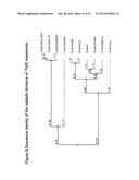 METHODS OF INCORPORATING AN AMINO ACID COMPRISING A BCN GROUP INTO A     POLYPEPTIDE USING AN ORTHOGONAL CODON ENCODING IT AND AN ORTHORGONAL     PYLRS SYNTHASE diagram and image