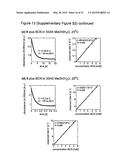 METHODS OF INCORPORATING AN AMINO ACID COMPRISING A BCN GROUP INTO A     POLYPEPTIDE USING AN ORTHOGONAL CODON ENCODING IT AND AN ORTHORGONAL     PYLRS SYNTHASE diagram and image