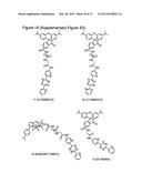 METHODS OF INCORPORATING AN AMINO ACID COMPRISING A BCN GROUP INTO A     POLYPEPTIDE USING AN ORTHOGONAL CODON ENCODING IT AND AN ORTHORGONAL     PYLRS SYNTHASE diagram and image