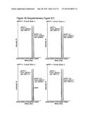 METHODS OF INCORPORATING AN AMINO ACID COMPRISING A BCN GROUP INTO A     POLYPEPTIDE USING AN ORTHOGONAL CODON ENCODING IT AND AN ORTHORGONAL     PYLRS SYNTHASE diagram and image