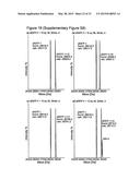 METHODS OF INCORPORATING AN AMINO ACID COMPRISING A BCN GROUP INTO A     POLYPEPTIDE USING AN ORTHOGONAL CODON ENCODING IT AND AN ORTHORGONAL     PYLRS SYNTHASE diagram and image