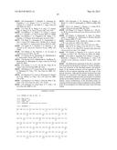 METHODS OF INCORPORATING AN AMINO ACID COMPRISING A BCN GROUP INTO A     POLYPEPTIDE USING AN ORTHOGONAL CODON ENCODING IT AND AN ORTHORGONAL     PYLRS SYNTHASE diagram and image