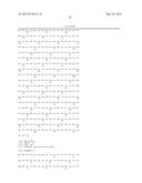 METHODS OF INCORPORATING AN AMINO ACID COMPRISING A BCN GROUP INTO A     POLYPEPTIDE USING AN ORTHOGONAL CODON ENCODING IT AND AN ORTHORGONAL     PYLRS SYNTHASE diagram and image