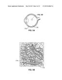 SYSTEMS AND METHODS FOR OBTAINING RHEOLOGICAL PROPERTIES OF VISCOELASTIC     MATERIALS diagram and image