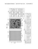 METHOD AND ULTRASOUND APPARATUS FOR MARKING TUMOR ON ULTRASOUND     ELASTOGRAPHY IMAGE diagram and image