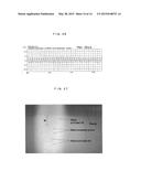 PISTON MEMBER FOR SYRINGE diagram and image