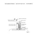 SYSTEMS AND METHODS OF ENHANCING ELECTRICAL ACTIVATION OF NERVOUS TISSUE diagram and image