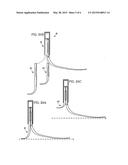 PROSTHETIC FOOT WITH MODULAR CONSTRUCTION diagram and image