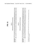 DATA PROTECTION SYSTEM diagram and image