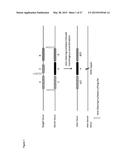 In Planta Recombination diagram and image