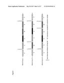 In Planta Recombination diagram and image