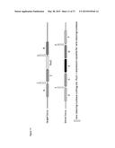 In Planta Recombination diagram and image