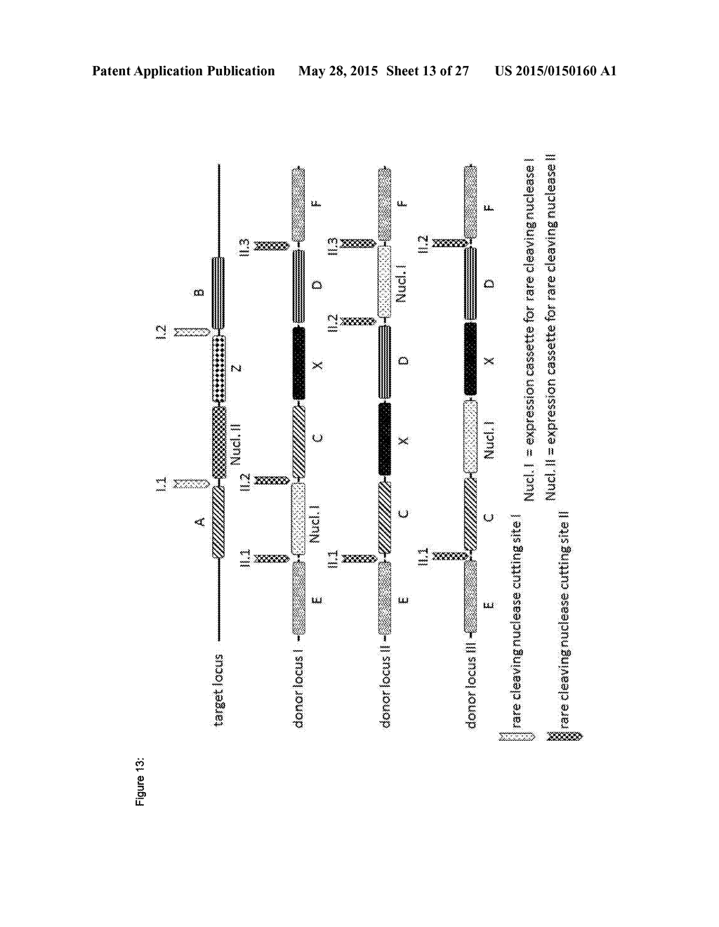 In Planta Recombination - diagram, schematic, and image 14