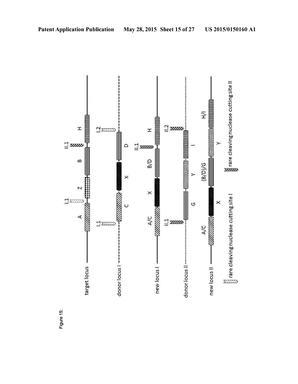 In Planta Recombination - diagram, schematic, and image 16
