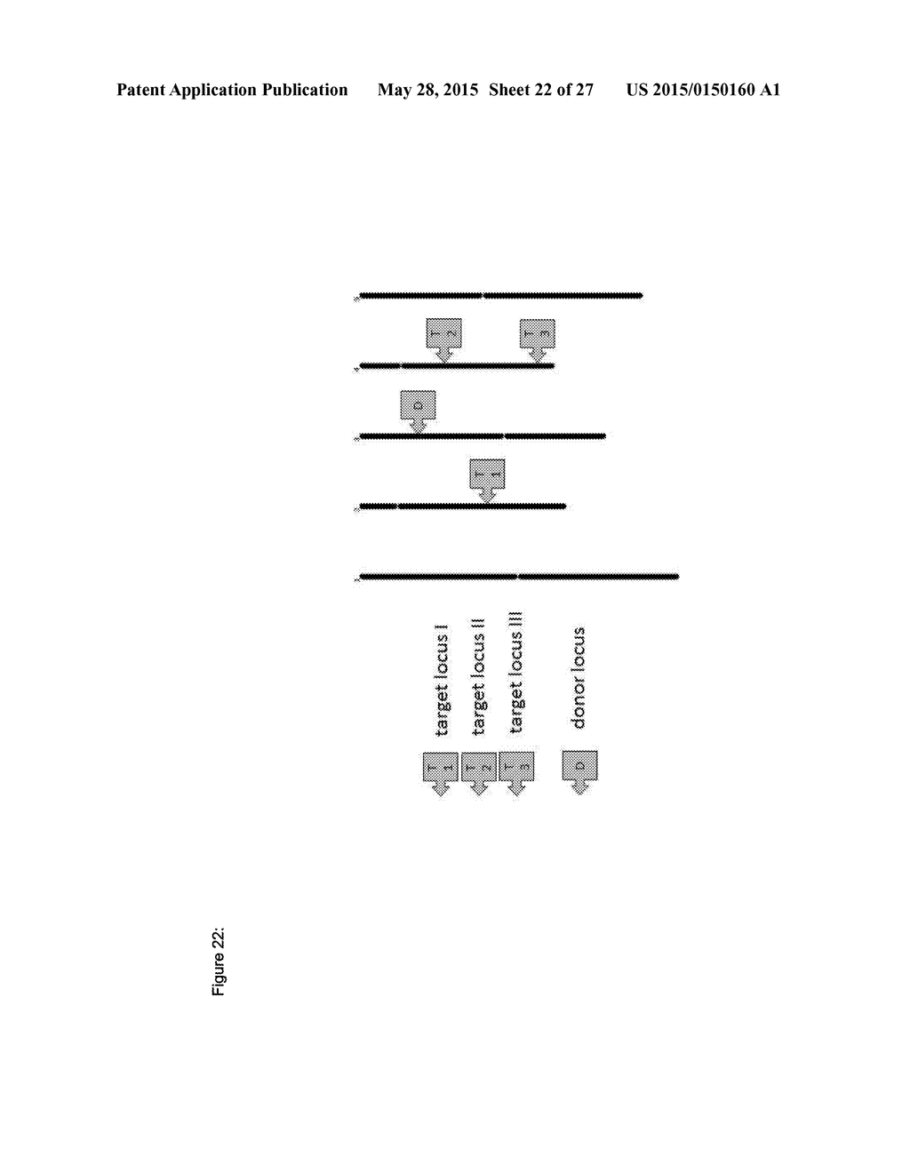 In Planta Recombination - diagram, schematic, and image 23