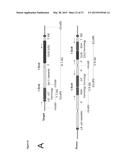 In Planta Recombination diagram and image