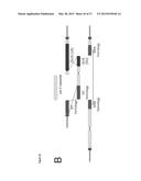 In Planta Recombination diagram and image