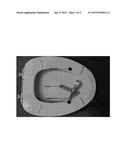 Hygienic toilet seat operating device diagram and image