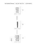 BIOLOGICAL SIGNAL MEASUREMENT SYSTEM, APPARATUS, METHOD, AND COMPUTER     PROGRAM THEREOF diagram and image