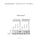 POLYENOLIC ZINC-BINDING AGENTS (PEZBINS) ACTIVELY PROMOTE INACTIVATION OF     CANCER STEM CELLS AND POTENTIATE CYTOTOXIC ANTI-TUMOR DRUG SUBSTANCES diagram and image