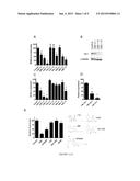 METHODS AND COMPOSITIONS FOR TREATING CANCER diagram and image