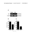 METHODS AND COMPOSITIONS FOR TREATING CANCER diagram and image