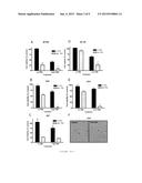 METHODS AND COMPOSITIONS FOR TREATING CANCER diagram and image