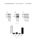 METHODS AND COMPOSITIONS FOR TREATING CANCER diagram and image