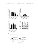 METHODS AND COMPOSITIONS FOR TREATING CANCER diagram and image