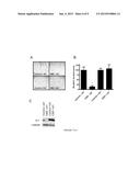 METHODS AND COMPOSITIONS FOR TREATING CANCER diagram and image