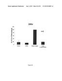 Surfactant Lipids, Compositions Thereof, and Uses Thereof diagram and image