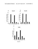 Surfactant Lipids, Compositions Thereof, and Uses Thereof diagram and image