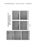 Surfactant Lipids, Compositions Thereof, and Uses Thereof diagram and image