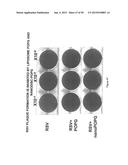 Surfactant Lipids, Compositions Thereof, and Uses Thereof diagram and image