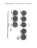 Surfactant Lipids, Compositions Thereof, and Uses Thereof diagram and image