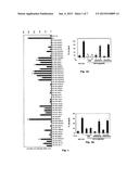 Isoform of Bruton s Tyrosine Kinase (BTK) Protein diagram and image