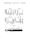 Isoform of Bruton s Tyrosine Kinase (BTK) Protein diagram and image